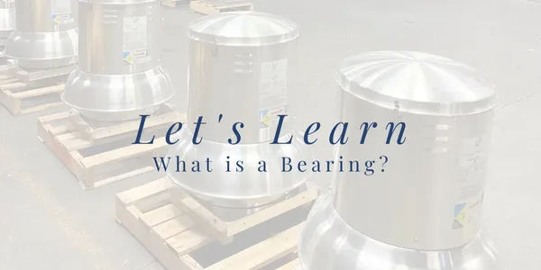What is a bearing